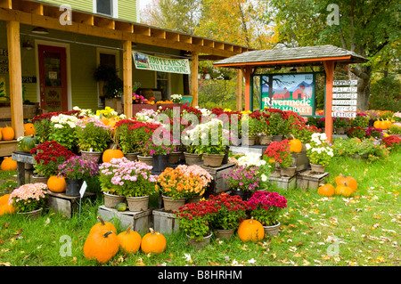 Die Rivermede Farm Market Store in Keene Valley New York USA Stockfoto