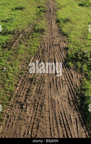 viele Fahrrad Reifenspuren im Schlamm im Feld Land überqueren Stockfoto