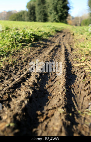 viele Fahrrad Reifenspuren im Schlamm im Feld Land überqueren Stockfoto