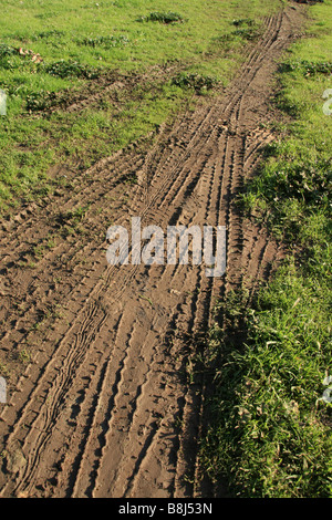 viele Fahrrad Reifenspuren im Schlamm im Feld Land überqueren Stockfoto