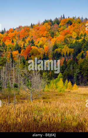 Die Adirondack Berge in Flammen in Herbstfarben Farbe in New York State USA Stockfoto