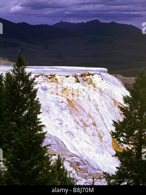 Kalkstein Terrassen Mammoth Hot Springs und Terrassen-Yellowstone-Nationalpark, Wyoming USA Stockfoto