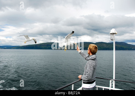 Fütterung der Möwen auf der Fähre von Oban, Mull, Schottland Stockfoto