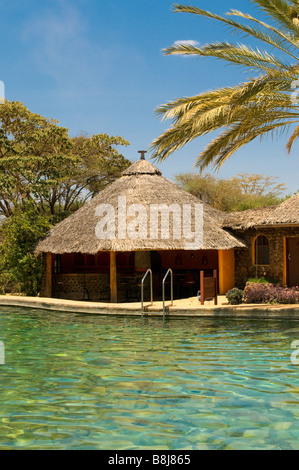 Swimmingpool-Bungalow und Palmen Stockfoto