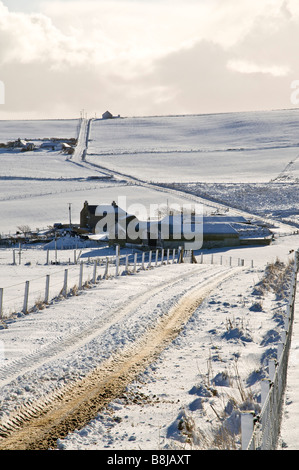 dh ROADS UK eisige verschneite Straße Schneefelder Bauernhäuser Orkney Farm House Farming Lane schottland Winter Stockfoto