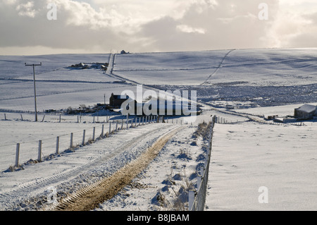 dh ROADS UK eisige verschneite Straße Schneefelder Bauernhäuser Orkney Winterfeld britische Landschaft schottland Farmszene Stockfoto