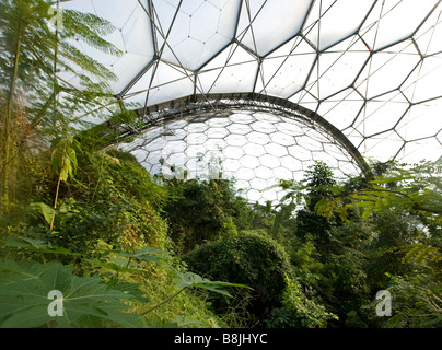 In den tropischen Regenwald Biom bei der ökologischen Eden Projekt Cornwall England Stockfoto