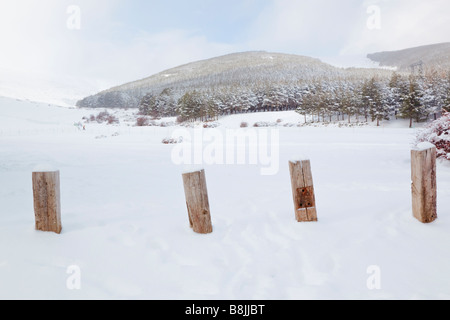 Puerto De La Ragua Parque Nacional de Sierra Nevada Provinz Granada Spanien Winterszene Stockfoto