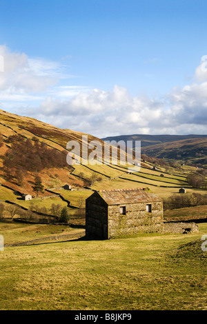 Feld-Scheunen im Swaledale in der Nähe von Keld Yorkshire Dales England Stockfoto