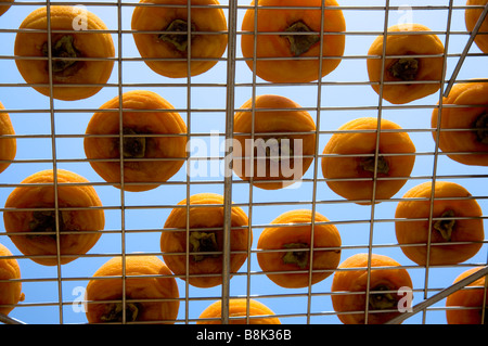 Trocknung von Kaki Hsinpu Stadt Hsinchu County Taiwan Stockfoto