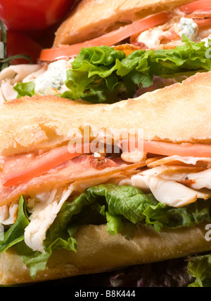 Gourmet-Buffalo Chicken sandwich Panini Brot Speck Bleu Käse Stockfoto