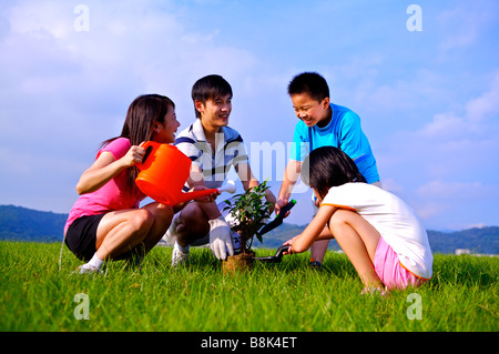 Junge Familie mit zwei Kindern einen kleinen Baum zu Pflanzen, auf dem Rasen zusammen Stockfoto