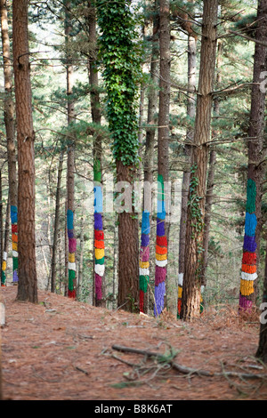 Bosque Pintado de Oma, "die bemalte Wald von Oma", wo Künstler Agustin Ibarrola Augen, Menschen und geometrischen Formen gemalt hat. Stockfoto