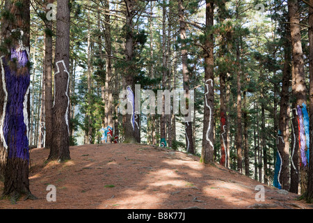 Bosque Pintado de Oma, "die bemalte Wald von Oma", wo Künstler Agustin Ibarrola Augen, Menschen und geometrischen Formen gemalt hat. Stockfoto