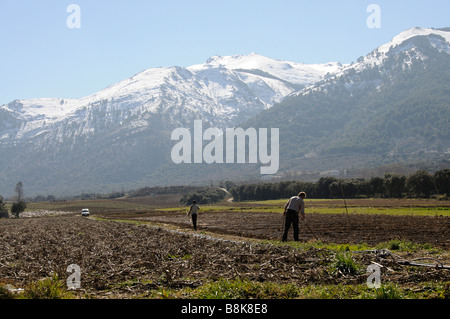 Landarbeiter Hacke Kulturen auf Ackerland in der Nähe der spanischen Stadt Ventas de Zafarraya und überragt vom Schneeberg angeschnittene Ärmel Stockfoto