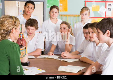 Studenten erhalten ein Biologie-Unterricht im Klassenzimmer Stockfoto