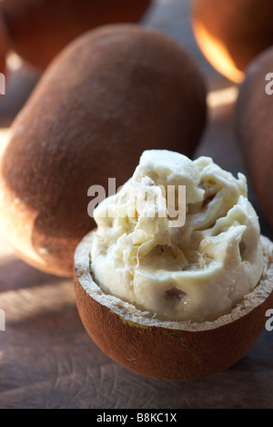 Cupuaçu, Cupuassu oder Copoasu, exotischen Früchten aus Amazonien Stockfoto