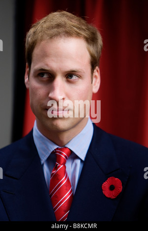 Prinz William in Cardiff im November 2008 tragen eine Erinnerung Mohnblume Stockfoto