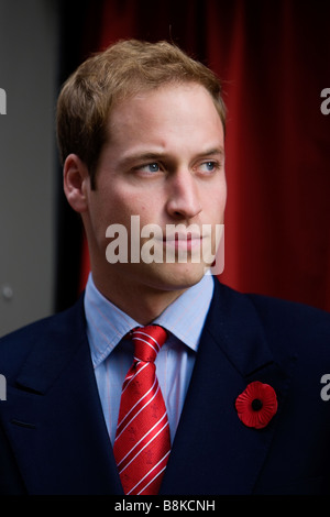 Prinz William in Cardiff im November 2008 tragen eine Erinnerung Mohnblume Stockfoto