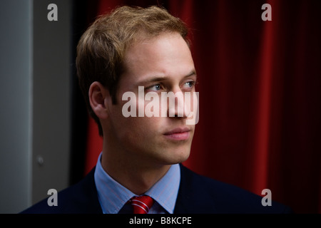 Prinz William in Cardiff im November 2008 tragen eine Erinnerung Mohnblume Stockfoto