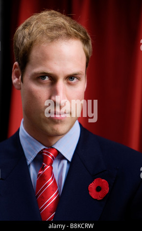 Prinz William in Cardiff im November 2008 tragen eine Erinnerung Mohnblume Stockfoto