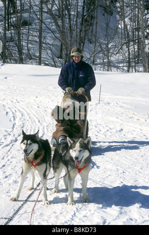 Touristen genießen einen Hund Schlitten fahren in Quebec.Canada, Stockfoto