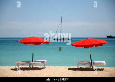 4 Liegestühle und 2 Sonnenschirme auf dem Paradies Strand von Saint Martin auf den niederländischen Antillen Stockfoto