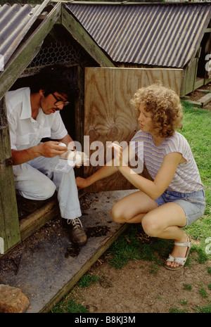 Botton Dorf für Menschen mit Lernbehinderungen, North Yorkshire.  Ein Community-Mitglied holt die Hühnereier Stockfoto