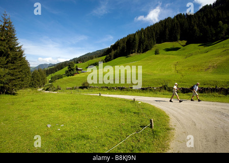 Wandern Sie in den Bergen auf der Alm Steinbergalm auf 1712 m Stockfoto