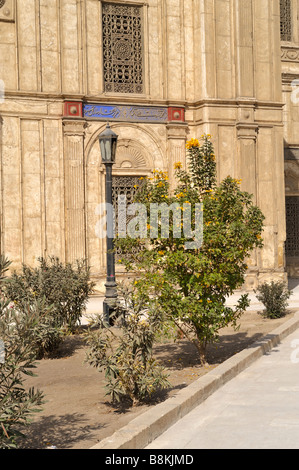 Mohammed Ali Alabaster Moschee, Cairo Zitadelle, Ägypten 081125 33560 Stockfoto