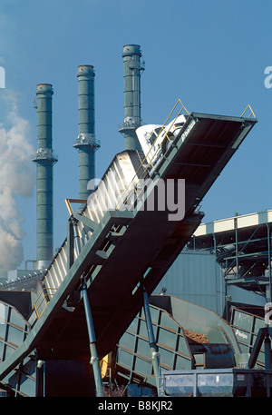 LKW-Entladung Hackschnitzel-Biomasse-Abfällen als Brennstoff in Florida elektrische Kraftwerk verwendet. Stockfoto