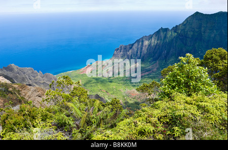 Blick auf das Kalalau Valley und dem Pazifischen Ozean aus Kokee State Park Kauai Hawaii USA Stockfoto