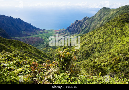 Blick auf das Kalalau Valley und dem Pazifischen Ozean aus Kokee State Park Kauai Hawaii USA Stockfoto