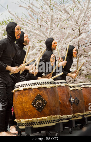 Fünf japanische Trommler beim Cherry Blossom Festival in Philadelphia Stockfoto