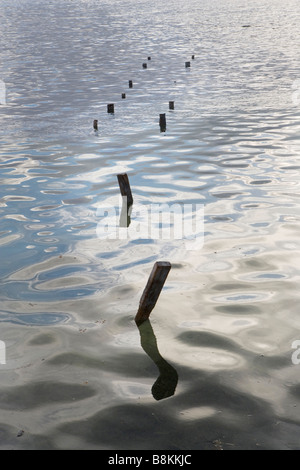 Alte hölzerne Pfähle aus einem längst vergangenen Pier in den ruhigen Untiefen in der Nähe der Küste auf Ambergris Caye, Belize. Stockfoto