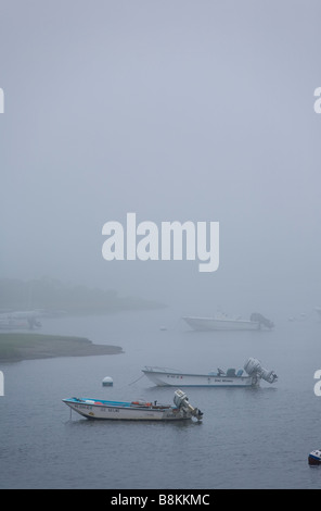 Angelboote/Fischerboote angebunden in einem ruhigen, neblig trübe Hafen, Martha es Vineyard, MA USA Stockfoto