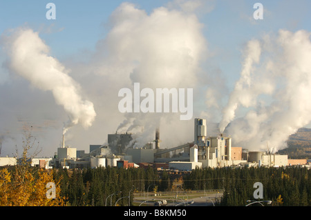 Die West Fraser Zellstoffwerk in Hinton Alberta Stockfoto