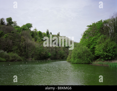 Swanbourne See, Arundel, West Sussex Stockfoto