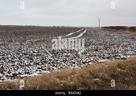 Ein schneebedecktes Feld Stockfoto