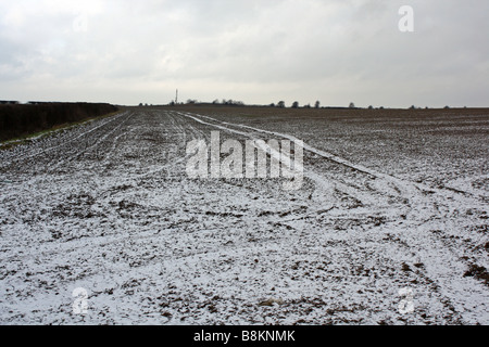 Spurrillen in den Schnee Stockfoto