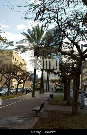 Zentrum Median führenden Fußgängerweg Tel Aviv Gründer Square in Erinnerung an die 69 Menschen, die Stadt im Jahre 1909 gegründet Stockfoto