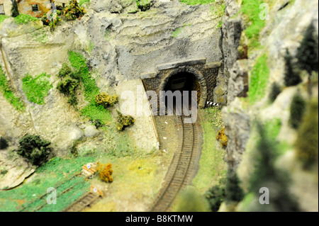 Detail des Modells Bahnwerk mit Lok, Wagen, Gleise und Gebäude Stockfoto