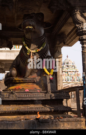 Indien-Tamil Nadu Tiruvannamalai Arunachaleswar Tempel Nandi-Stier-Statue bei inner sanctum Stockfoto