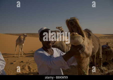 Beduinen und ihre Kamele in der Nähe von Banganarti, Old Dongola Region, Nubia, Sudan, Afrika Stockfoto