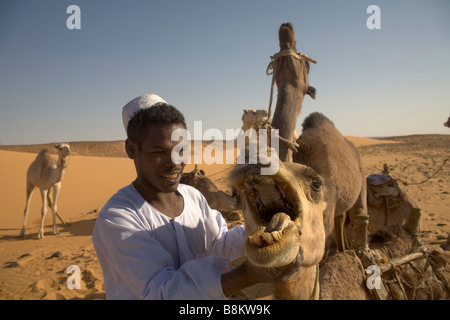 Beduinen und ihre Kamele in der Nähe von Banganarti, Old Dongola Region, Nubia, Sudan, Afrika Stockfoto