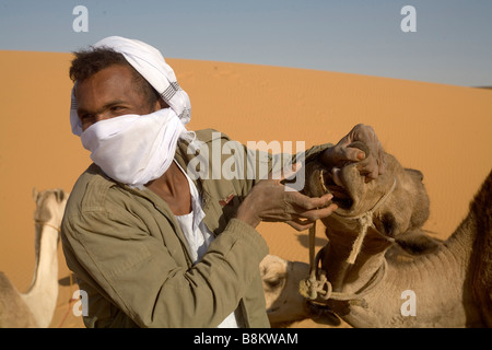 Beduinen und ihre Kamele in der Nähe von Banganarti, Old Dongola Region, Nubia, Sudan, Afrika Stockfoto