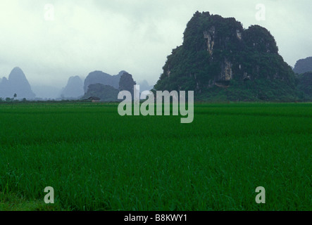 Kalkstein Karst Gipfeln, zwischen Yangshuo und Guilin, Guangxi Provinz, China, Asien Stockfoto
