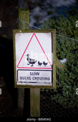 ein Schild sagt langsam Enten Kreuzung Stockfoto