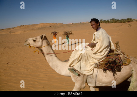 Beduinen und ihre Kamele in der Nähe von Banganarti, Old Dongola Region, Nubia, Sudan, Afrika Stockfoto