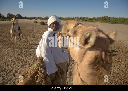 Beduinen und ihre Kamele in der Nähe von Banganarti, Old Dongola Region, Nubia, Sudan, Afrika Stockfoto